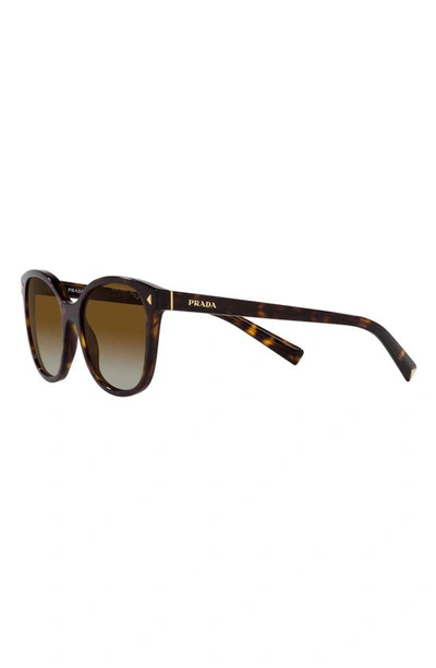 Shop Prada 53mm Gradient Polarized Square Sunglasses In Tortoise