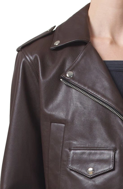 Shop Citizens Of Humanity Aria Crop Leather Jacket In Bitter Chocolate