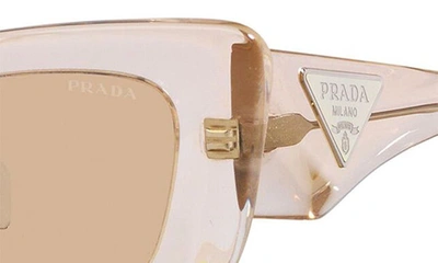 Prada Rectangular Marble Acetate Cat-eye Sunglasses In Lite Brown