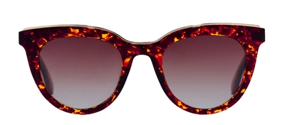 Hawkers Bella Hbel22cwtp Cwtp Cat Eye Polarized Sunglasses In Brown