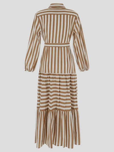 Shop Semicouture Striped Dress With Belt In Rigabianco/bruciato