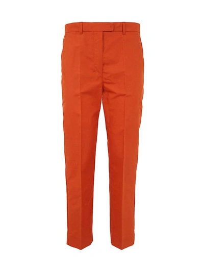 Shop 's Max Mara Elodia Trouser Clothing In Yellow &amp; Orange