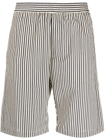 Shop Barena Venezia Barena Carnariol Cotton Trousers In Blue