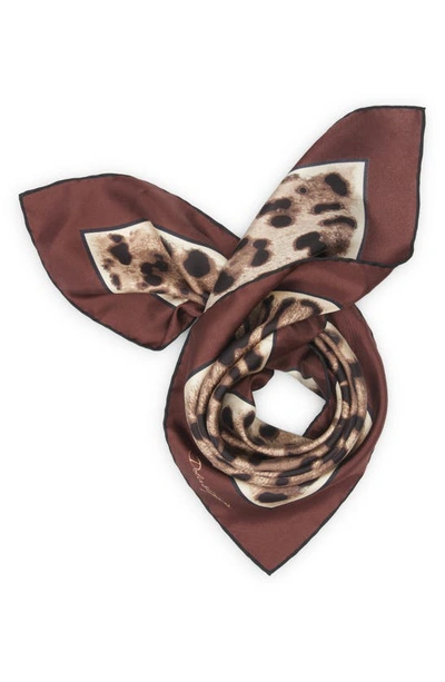 Shop Dolce & Gabbana Dolce&gabbana Leopard Print Square Silk Scarf In Light Brown Print