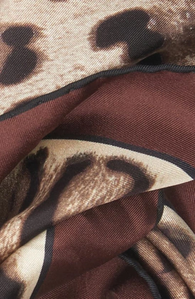 Shop Dolce & Gabbana Leopard Print Square Silk Scarf In Light Brown Print