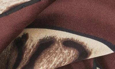 Dolce & Gabbana Dolce&gabbana Leopard Print Square Silk Scarf In Light Brown Print