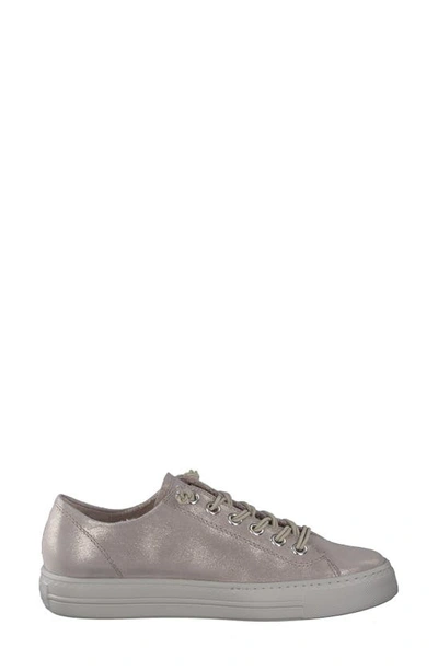 Paul Green Hadley Platform Sneaker In Cachemire Metallic Suede