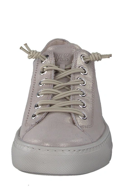 Paul Green Hadley Platform Sneaker In Cachemire Metallic Suede