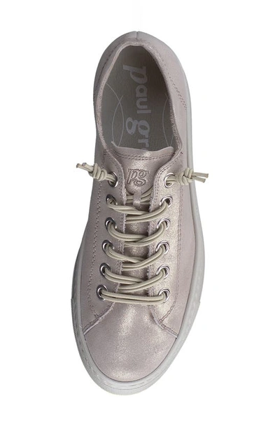 Paul Green Hadley Platform Sneaker In Cachemire Metallic Suede