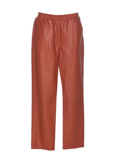 Shop Arma Trousers In Brown
