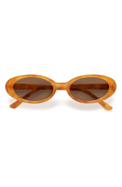 Shop Aire Fornax 53mm Oval Sunglasses In Vintage Tort