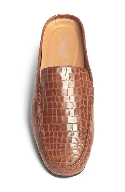 Shop Carlos Santana Hades Croc Embossed Leather Mule In Tan