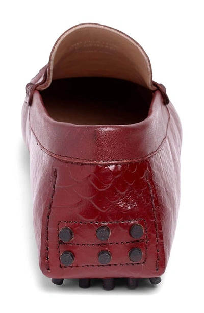 Carlos Santana Jorge Croc Embossed Leather Driver In Dark Red