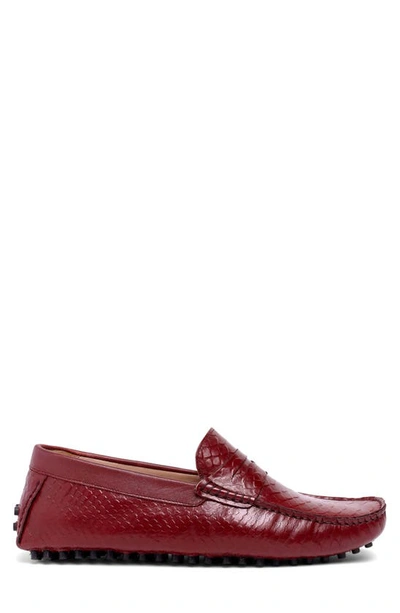 Carlos Santana Jorge Croc Embossed Leather Driver In Dark Red