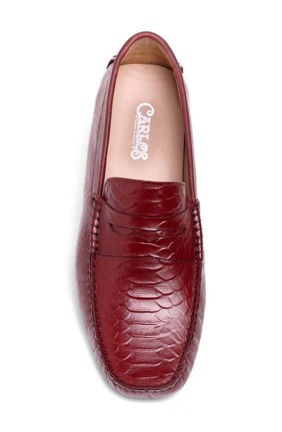 Carlos Santana Jorge Croc Embossed Leather Driver In Dark Red