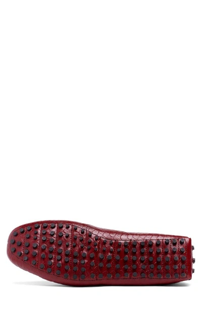 Carlos Santana Jorge Croc Embossed Leather Driver In Dark Red