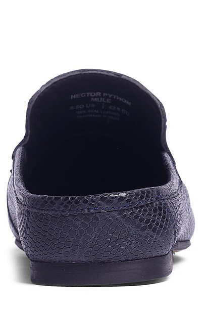 Carlos Santana Hector Snake Embossed Leather Mule In Navy