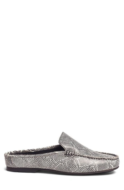 Carlos Santana Hector Snake Embossed Leather Mule In White/ Black