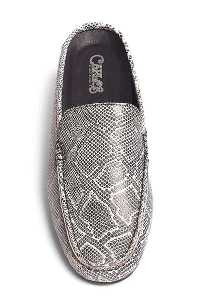 Carlos Santana Hector Snake Embossed Leather Mule In White/ Black