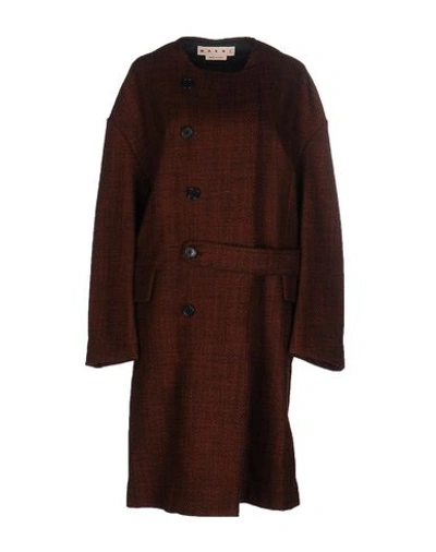 Marni Coat In Brown