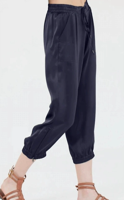Shop Go By Go Silk Go Luxe Parachute Silk Pant In Midnight In Blue