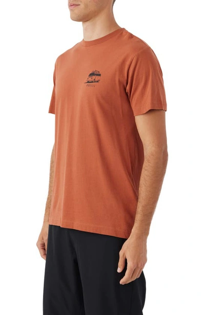 Shop O'neill Clear View Graphic T-shirt In Clay