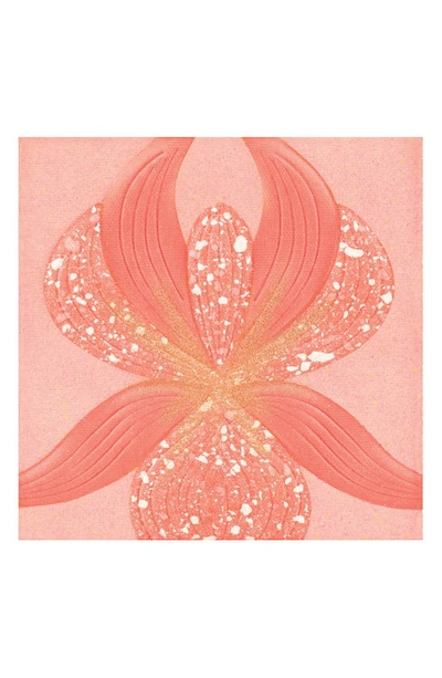Shop Sisley Paris Lorchidée Highlighter Blush In 3 L'orchidee Corail