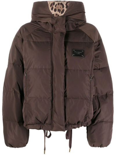Shop Dolce & Gabbana Down Jacket With Logo Plaque In Brown