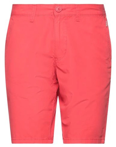 Shop Napapijri Man Shorts & Bermuda Shorts Red Size 31 Cotton