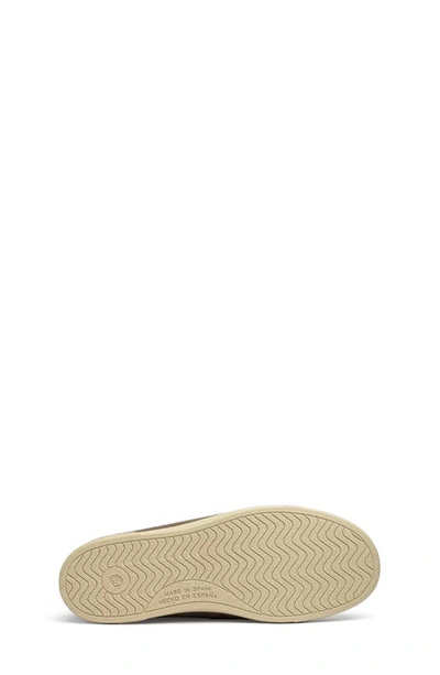 Shop Childrenchic High Top Suede Sneaker In Taupe