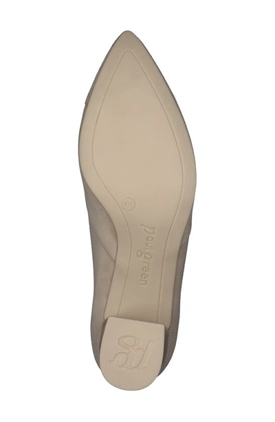 Shop Paul Green Rendi Pointed Toe Pump In Champagne Suede