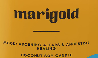 Shop Bonita Fierce Marigold Candle, One Size oz In White/ Yellow Multi
