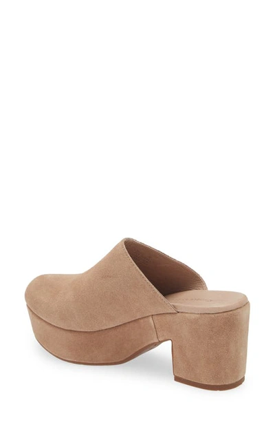 Chocolat Blu Ginette Platform Clog In Latte Suede
