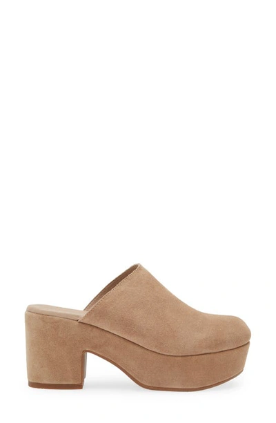 Chocolat Blu Ginette Platform Clog In Latte Suede