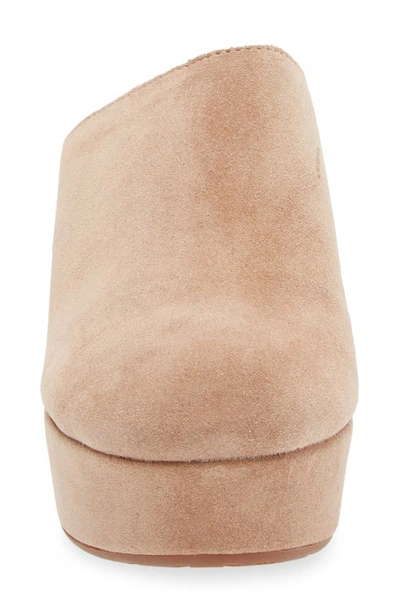 Chocolat Blu Ginette Platform Clog In Latte Suede