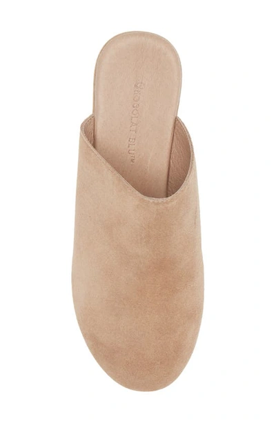 Chocolat Blu Ginette Platform Clog In Latte Suede