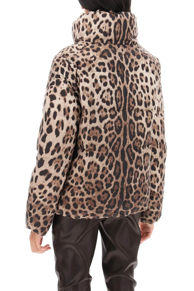Shop Dolce & Gabbana Leopard Print Short Puffer Jacket Women In Multicolor
