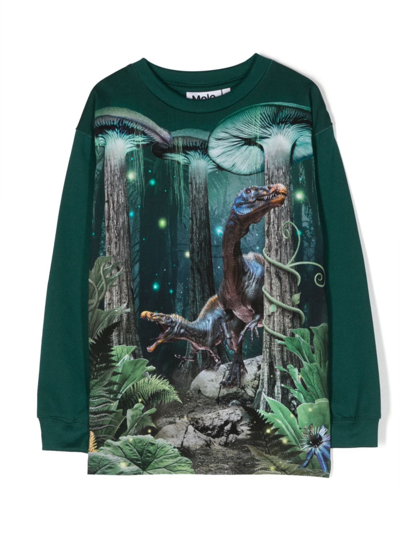 Shop Molo Photograph-print Organic Cotton Sweatshirt In Green