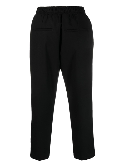 Shop Family First Cropped Tapered Trousers In Schwarz