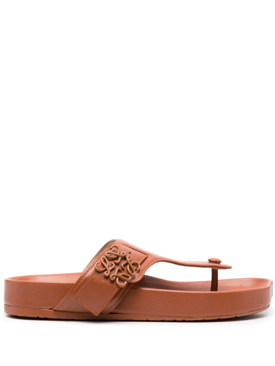 Shop Loewe Logo Leather Sandals In Brown