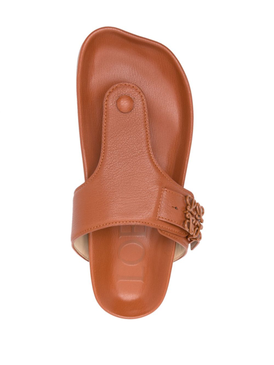 Shop Loewe Logo Leather Sandals In Brown