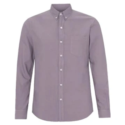 Shop Colorful Standard Organic Button Down Shirt Purple Haze