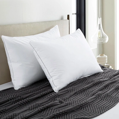 Shop Puredown Peace Nest 2pcs 100% Grey Duck Down Fiber Bed Pillow