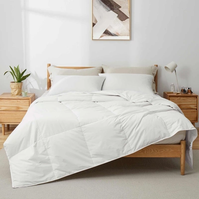 Shop Puredown Peace Nest Lightweight White Goose Fiber Comforter With 100% Cotton