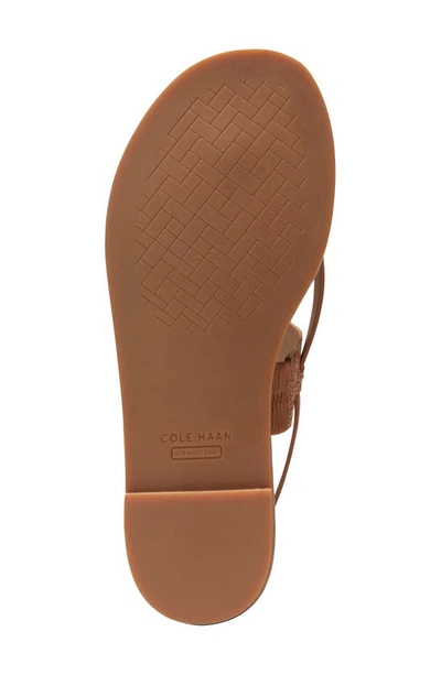 Shop Cole Haan Anica Lux Sandal In Pecan Croco Print Leather