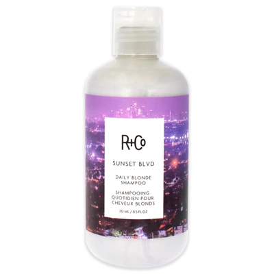 Shop R + Co Sunset Blvd Blonde Shampoo By R+co For Unisex - 8.5 oz Shampoo