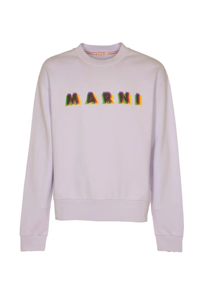 Shop Marni Sweaters In Dahlia