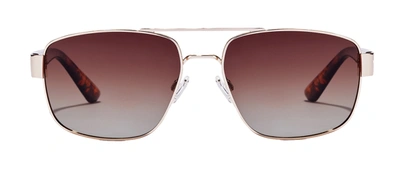 Shop Hawkers Falcon Hfal22dwmp Dwmp Navigator Polarized Sunglasses In Brown