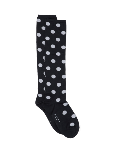 Shop Marni Polka Dot Socks In Black  