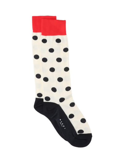 Shop Valentino Polka Dot Socks In Cream